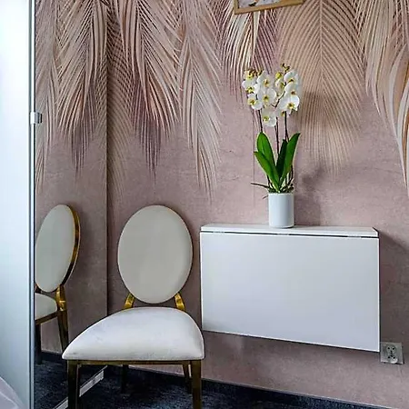 Lesny Korne Kolo Koscierzyny - Kaszuby Otel Studzienice